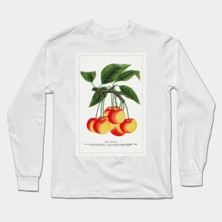 Gov Wood Cherry Lithograph (1900) Long Sleeve T-Shirt